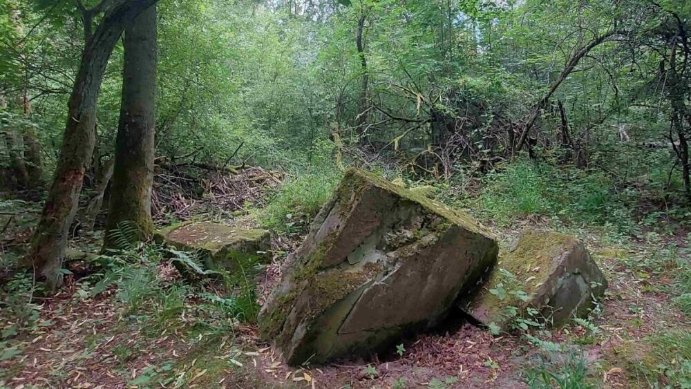 Pomník v zaniklé obci Olšina